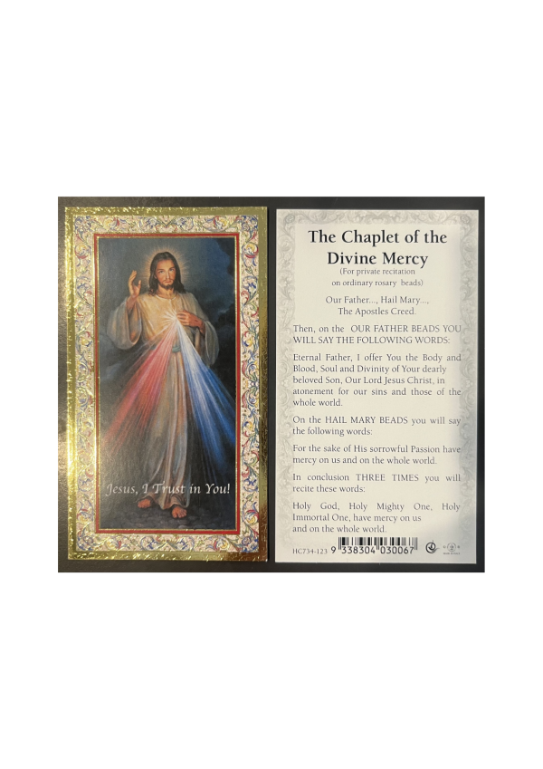 Divine Mercy Holy Card (127148)