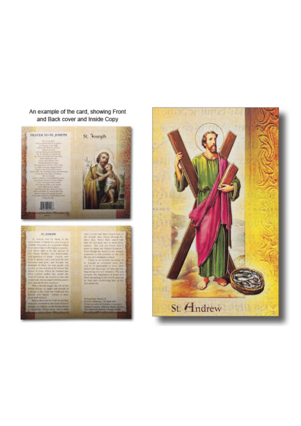St. Andrew Biography and Prayer Card (137525)