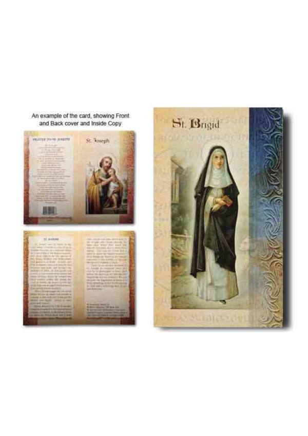 St. Brigid Biography and Prayer Card (132123)