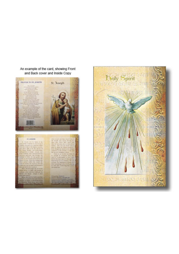 Holy Spirit Biography and Prayer Card (132147)