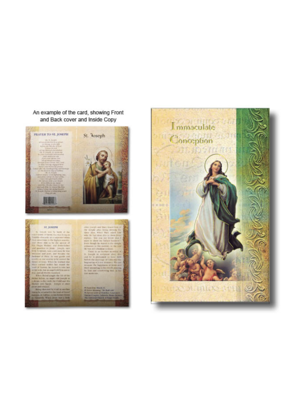 Our Lady of the Immaculate Conception Biography and Prayer Card (132102)